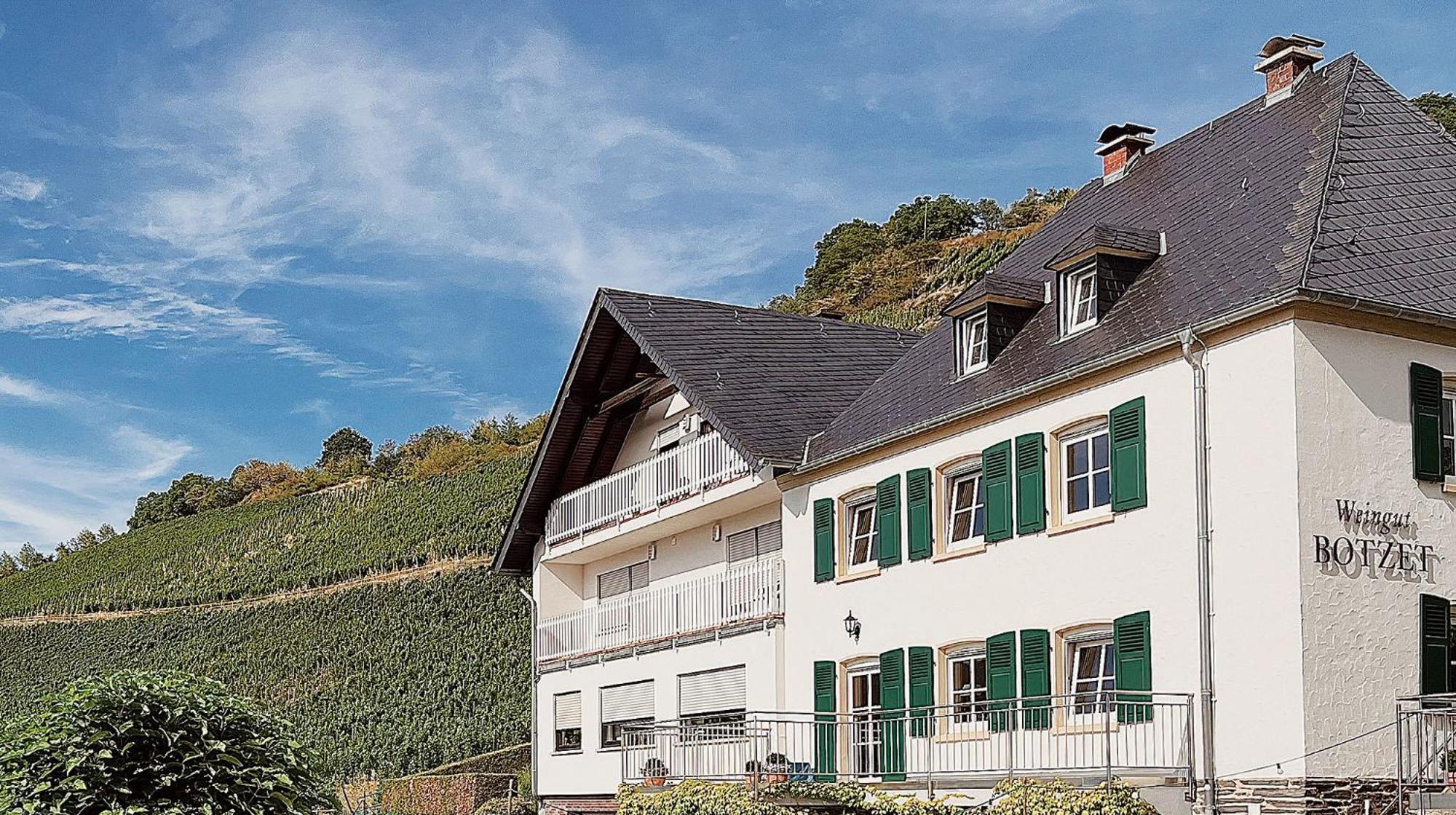 Pension 1595 Im Weingut Botzet Maring-Noviand Екстериор снимка